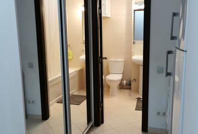 Pipera/Divani/Garsoniera spatioasa/ - 5