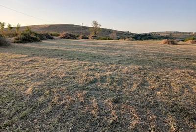 Spațiu comercial, în Tohani - 3