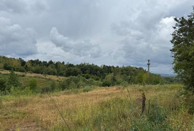 Teren de vanzare Balcesti, ideal pentru investitie si constructie cabane - 5