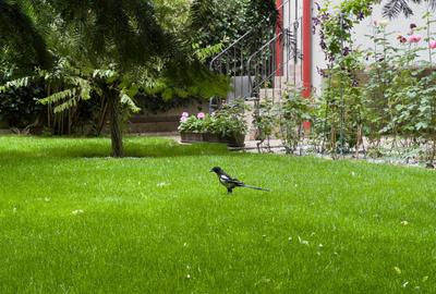 Apartament cu 3 camere decomandat în Floreasca