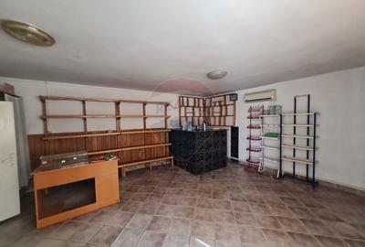 Casa cu 5 camere de vanzare la strada Principala - 14