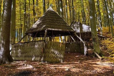Teren de 27500 mp, în Săcărâmb - 7
