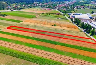 TEREN extravilan- 6 E/MP- CU PLANTATIE DE TRANDAFIRI! Teliu 7000mp - 11