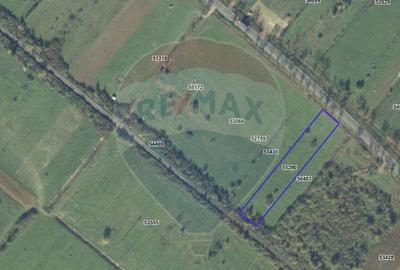 Teren 4,000mp Cicarlau / Strada Principala intravilan - 8