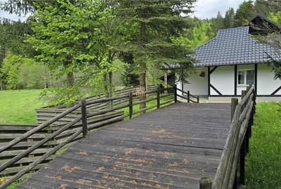 Casa de Vacanta la Munte! In Bucovina! De Vanzare! 0727817187 - 2