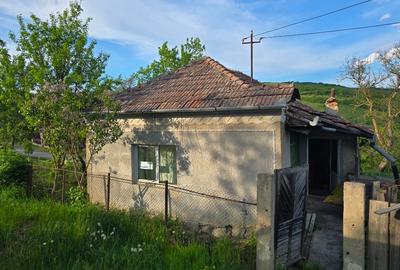 Teren Construcții intravilan de 1400 mp, în Sic - 4