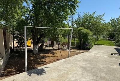 Casă cu 3 camere cu Teren 4000 Mp în Letca Nouă - 5