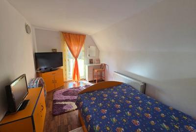 Cabana de vanzare, 200 utili, 600 teren, locatie de Vis -Muntele Rece - 5