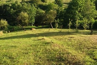 Teren extravilan de 3000 mp, în Cosmina de Sus - 1