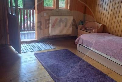 Casă individuală cu 5 camere cu Teren 3026 Mp în Schiulești - 9
