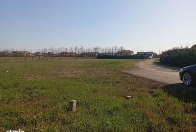 Spațiu comercial, în Moșnița Nouă - 4