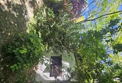 Casă cu 3 camere în Vama Veche - 3