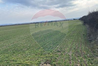 Teren intravilan de vanzare 3.675 mp - Sabolciu,  direct la DN1/E60, - 7