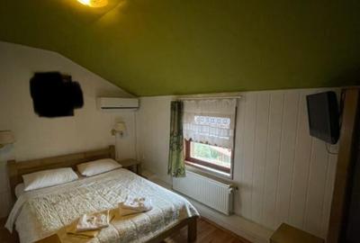 Pensiune P+1+M de vanzare, 396 mp, zona Orasul Vechi - 4