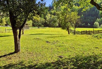 Casa cu teren 3000m2 intravilan - 7