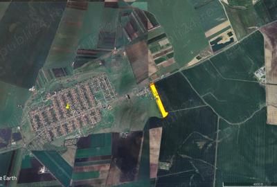 Teren de 50000 mp, în Horia - 3