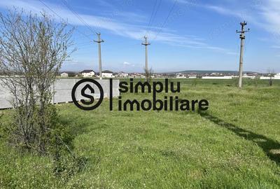 Teren Intravilan Simnicul de sus - 5