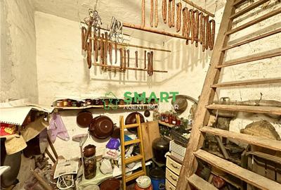 Casă cu 3 camere cu Teren 1029 Mp în Zimandu Nou - 2