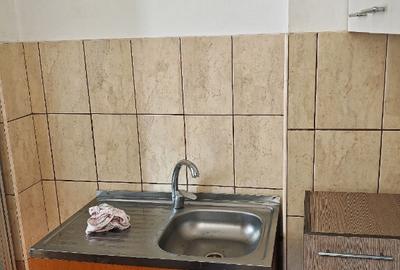 Apartament cu 2 camere Sud - 4