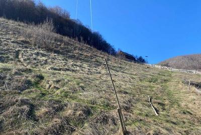 Teren de 20905 mp, în Sud - 7