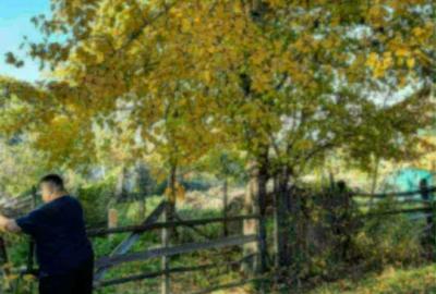 Spațiu comercial, în Bilcești - 2