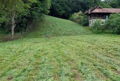 Teren de 2584 mp, în Fedeleșoiu - 2