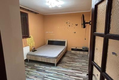 Casă cu 4 camere în Ludoș - 8