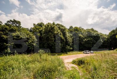 Teren de 1872 mp, în Cetate