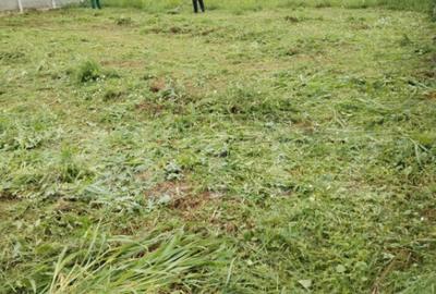 Teren de 1027 mp, în Dumbrăvița