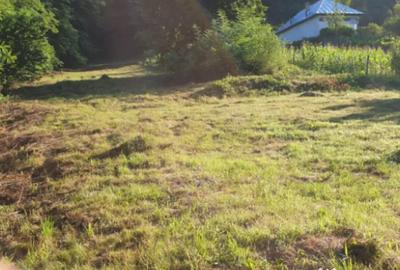 Teren de 7000 mp, în Ștubeie Tisa - 9