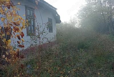 Casă cu 4 camere cu Teren 1110 Mp în Vlad Țepeș - 6