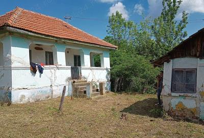 Teren de 3000 mp, în Central - 3