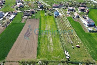 Teren Construcții intravilan de 5064 mp, în Leș - 3