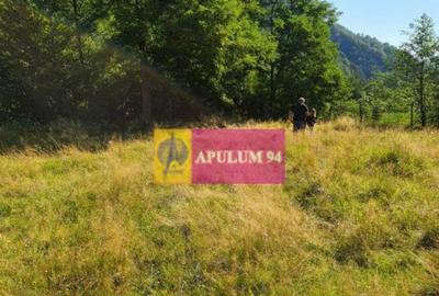 Teren Jude?ul Valcea - Brezoi, Valea lui Stan - 6