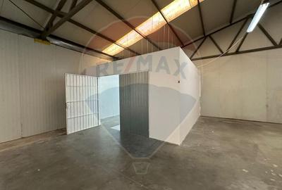 Spatii industriale premium - 11