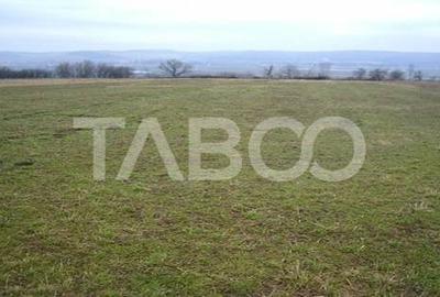 Teren 3000 mp intravilan langa Arka Parc si Arena Platos in Paltinis - 2