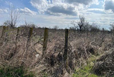 Spațiu comercial, în Central