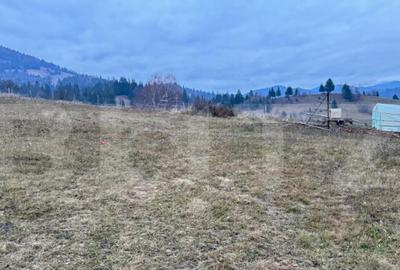 VAND 2500 MP DE TEREN INTRAVILAN LA COLIBITA - 3