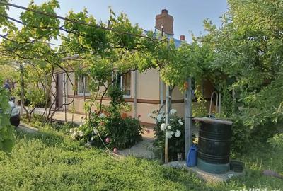 Casa de vanzare - 1
