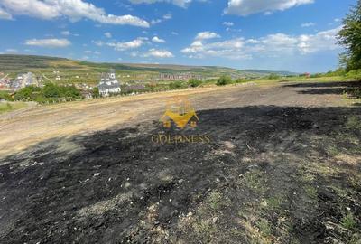 Terenuri de vanzare, Parcelabil, Valea Chintaului, Zona Beta Residence - 2