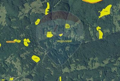 Teren 5800 mp, Valea Sasului, sat Dalghiu, com Vama Buzaului - 5