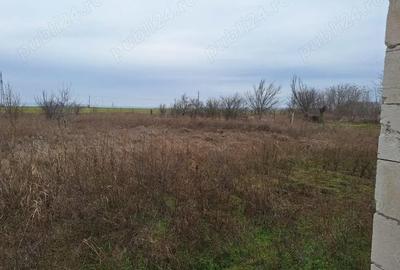 Casă cu 3 camere în Lunca - 3