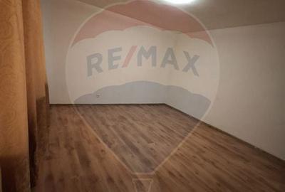 Apartament cu 1 camera de vanzare in zona Colentina - 4