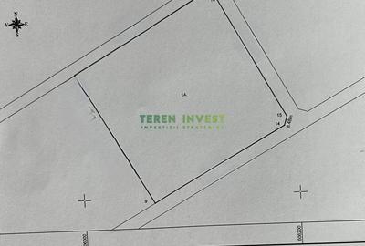 Spațiu comercial, în Tânganu - 1