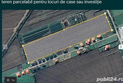 Teren de 22700 mp, în Lazuri - 3