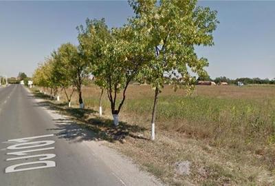 Teren de 503 mp, în Tamași - 2