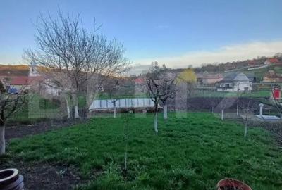 Casă cu 5 camere cu Teren 1085 Mp în Călărași - 3