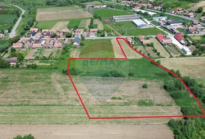 Teren de vanzare Blajel, jud. Sibiu | 15.360 mp - p... - 1