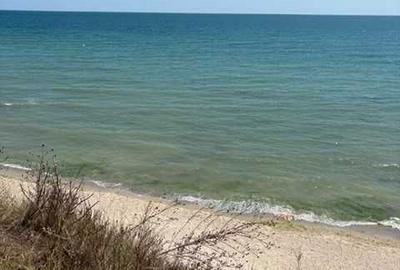 Teren de 3000 mp, în Exterior Vest - 2