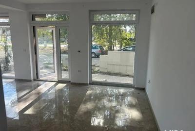 Inchiriere spa?iu comercial Giroc (langa Uzina de Apa) - 2